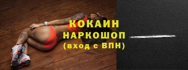 сатива Покачи