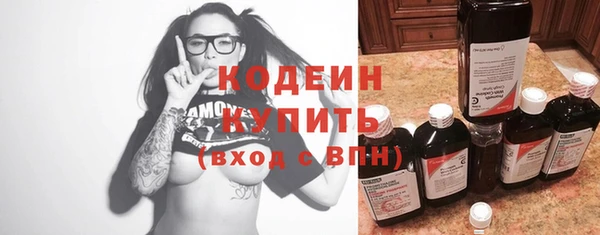 сатива Покачи