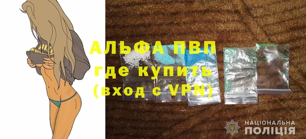 сатива Покачи