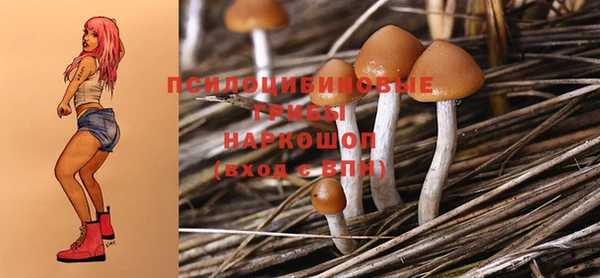 сатива Покачи